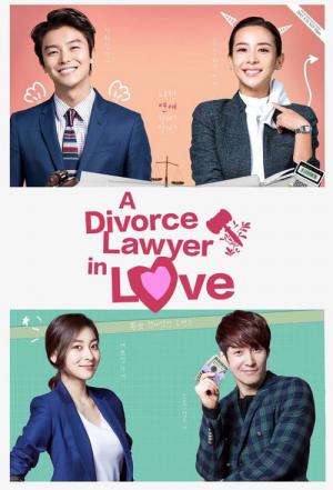 Divorce Lawyer in Love [Korean Drama] in Urdu Hindi Dubbed – Complete All Episodes