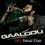 Gaalodu-2023-Hindi-Dubbed
