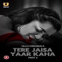 Tere Jaisa Yaar Kaha Part 2